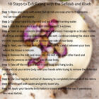 Sefidah & Kisah, (Iraanse scrubset) - Afbeelding 2