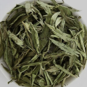 Stevia blad